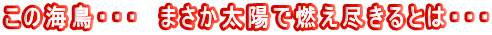 ���̊C���E�E�E�@�܂������z�ŔR���s����Ƃ́E�E�E