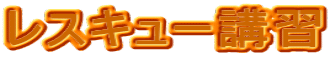 レスキュー講習