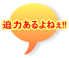 迫力あるよねぇ!!