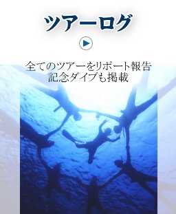 全てのツアーをリポート報告・記念ダイブも掲載