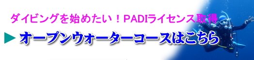 オープンウォーターコースはこちら