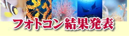 フォトコンテスト2022