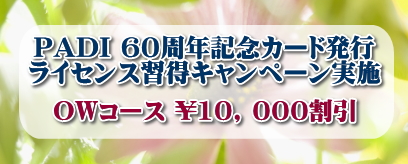 dive kansai with English