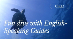 dive kansai with English