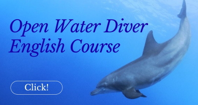 dive kansai with English