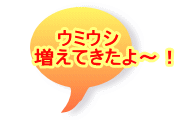 �E�~�E�V �@�@�����Ă�����`�I