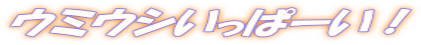 �E�~�E�V�����ρ[���I