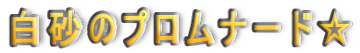 �����̃v�����i�[�h��