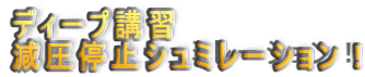 �f�B�[�v�u�K ������~�V���~���[�V�����I
