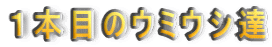 �P�{�ڂ̃E�~�E�V�B