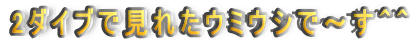 2�_�C�u�Ō��ꂽ�E�~�E�V�Ł`���O�O