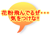 �ԕ����ł邺�E�E�E �C������!!