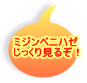 ~Wxjn[ 茩邼I