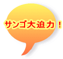 �T���S�唗�́I
