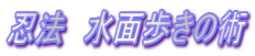 E@@ʕ̏p