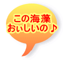 ���̊C�� ���������́�