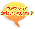 �E�~�E�V���� ���킢�����ˁ�