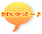 킢`