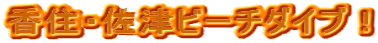 ���Z�E���Ãr�[�`�_�C�u�I