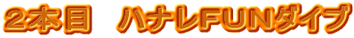 �Q�{�ځ@�n�i���e�t�m�_�C�u