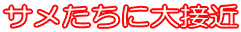 �T�������ɑ�ڋ�