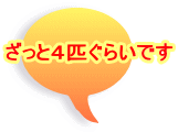 �����ƂS�C���炢�ł�