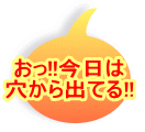 ����!!������ ������o�Ă�!!