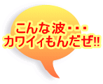 ����Ȕg�E�E�E �J���C�B���񂾂�!!