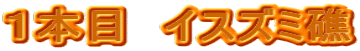 �P�{�ځ@�C�X�Y�~��