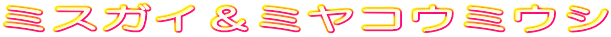 �~�X�K�C���~���R�E�~�E�V 