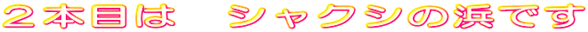 �Q�{�ڂ́@�V���N�V�̕l�ł�