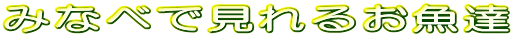 �݂ȂׂŌ���邨���B