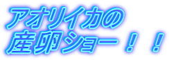 AICJ YV[II