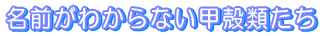 ���O���킩��Ȃ��b�k�ނ��� 