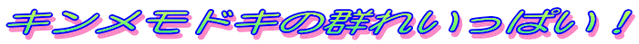 LhĽQꂢςI 