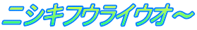 ニシキフウライウオ～
