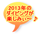 2013N _CrO @y݂`