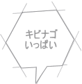 キビナゴ いっぱい 