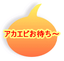 アカエビお待ち～