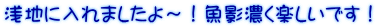 浅地に入れましたよ～！魚影濃く楽しいです！