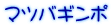 マツバギンポ