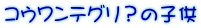 コウワンテグリ？の子供