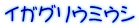 イガグリウミウシ