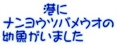 　　　港に ナンヨウツバメウオの 幼魚がいました