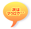 次は マクロで＾＾