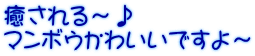 癒される～♪ マンボウかわいいですよ～