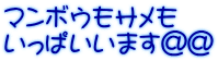 マンボウもサメも いっぱいいます＠＠