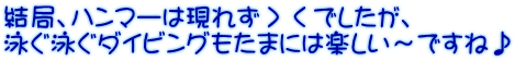 結局、ハンマーは現れず＞＜でしたが、 泳ぐ泳ぐダイビングもたまには楽しい～ですね♪