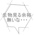 生物見る余裕 無いな・・・