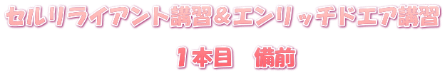 セルリライアント講習＆エンリッチドエア講習  　　　　　　　　１本目　備前